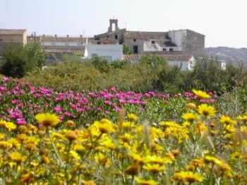 Flores y El Palacio, al fondo.